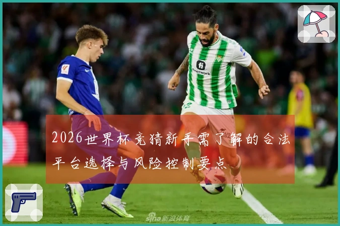 2026世界杯竞猜新手需了解的合法平台选择与风险控制要点