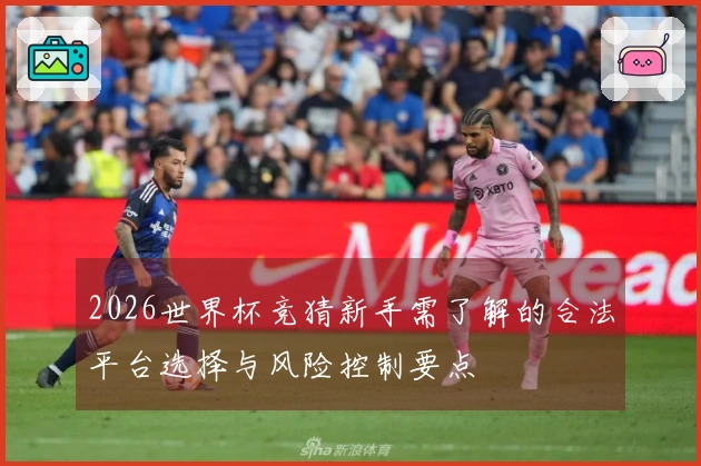 2026世界杯竞猜新手需了解的合法平台选择与风险控制要点