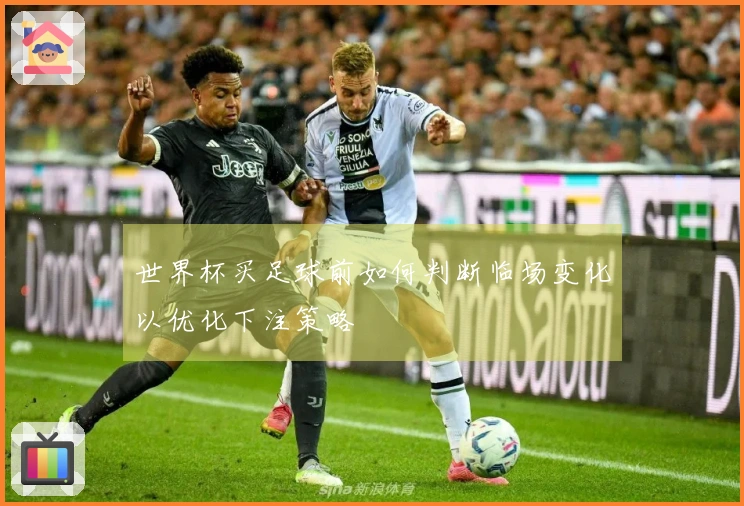 世界杯买足球前如何判断临场变化以优化下注策略
