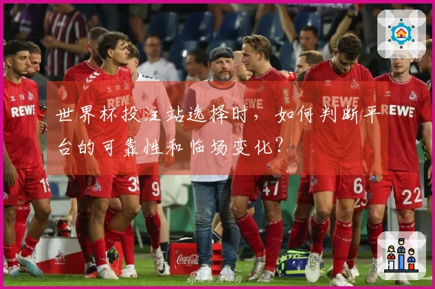 世界杯投注站选择时，如何判断平台的可靠性和临场变化？